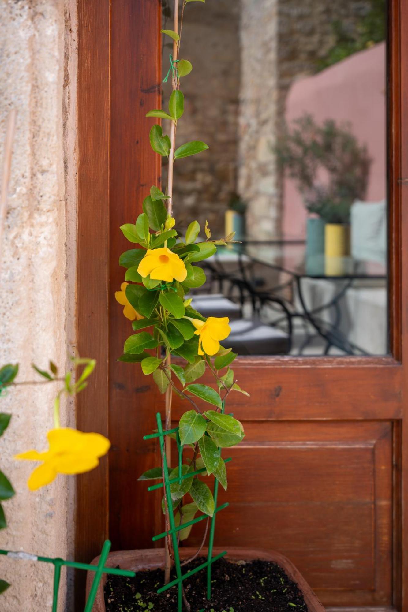 Phaedra Suites (Adults Only) Rethymno  ภายนอก รูปภาพ